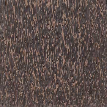 Чёрная пальма (Borassus flabellifer) – лицевая поверхность (пласть)
