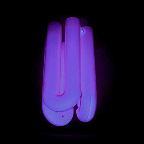 Включённая лампа «чёрного света» типа КЛЛ, видимое слабое фиолетовое свечение от проникающего частично через слой люминофора спектра свечения паров ртути в диапазоне 404 нм, свечение самого люминофора в диапазоне 350–370 нм невидимое