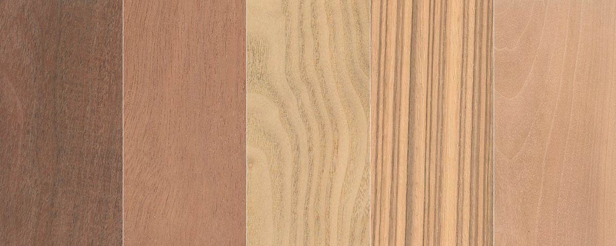 Пять образцов древесины – это то, что вы видите