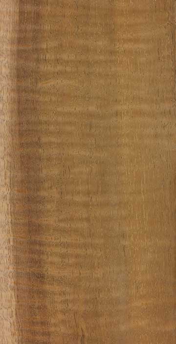 Акация Коа (Acacia koa) – древесина шлифованная