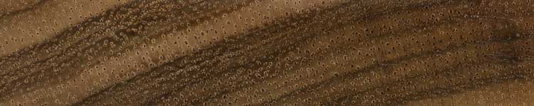Акация Коа (Acacia koa) – торец доски