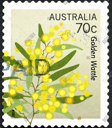 Австралийская почтовая марка с изображением золотой акации