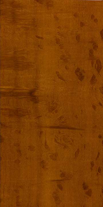 Рок шиоак (Allocasuarina huegeliana) - древесина под лаком
