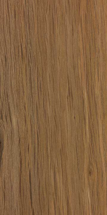 Поникший шиоак (Allocasuarina verticillata) - древесина шлифованная