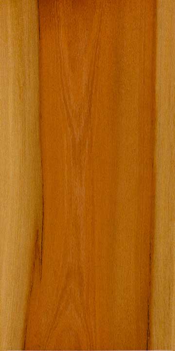 Красный ясень (Alphitonia excelsa) - древесина под лаком