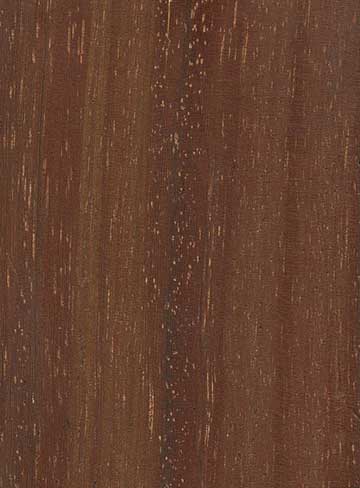 Азобэ (Lophira alata) – древесина под лаком