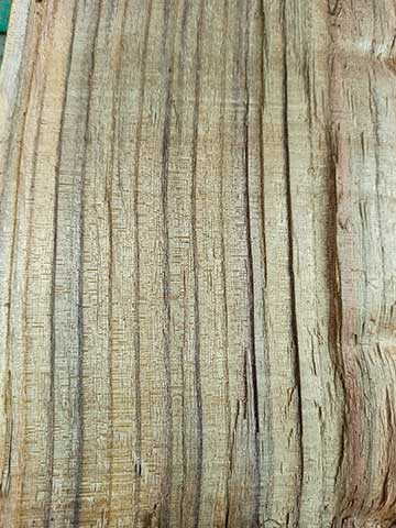 Древесина – бархат амурский (Phellodendron amurense)