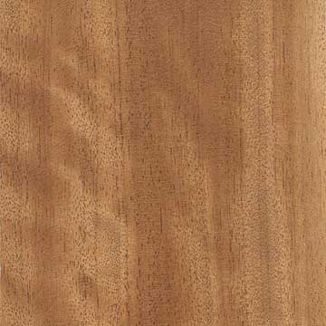Боссе (Guarea cedrata) – древесина под лаком