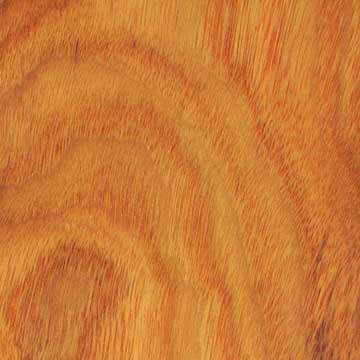 Канарское дерево (Centrolobium microchaete) – шпон шлифованный (распил – flatsawn)