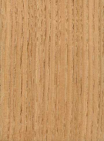 Каштан американский (Castanea dentata) – древесина под лаком