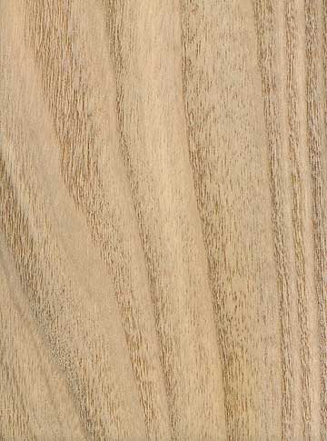 Катальпа прекрасная (Catalpa speciosa) – древесина шлифованная