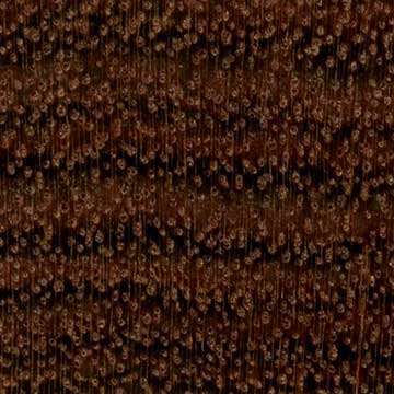 Чечем (Metopium brownei) – торец доски – волокна древесины
