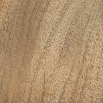 Камфора (Cinnamomum camphora) – древесина под лаком