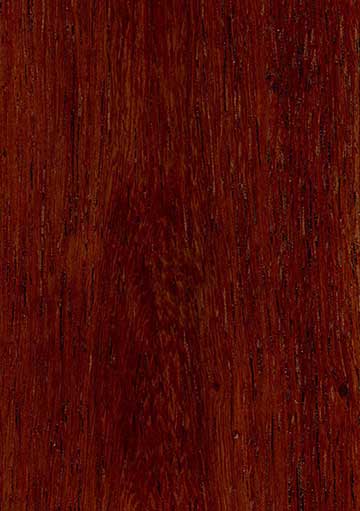 Бирманский палисандр (Dalbergia oliveri) – древесина под лаком