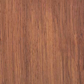 Гондурасский палисандр (Dalbergia stevensonii) – шпон шлифованный