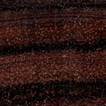 Кингвуд (Dalbergia cearensis) – торец доски – волокна древесины