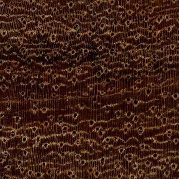 Сиссу (Dalbergia sissoo) – торец доски – волокна древесины