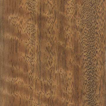 Палдао (Dracontomelon dao) – древесина под лаком