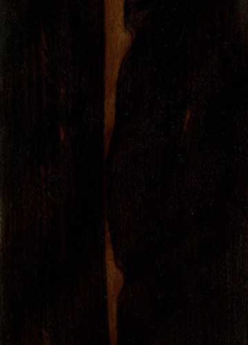 Цейлонский эбен (Diospyros ebenum) – древесина под лаком