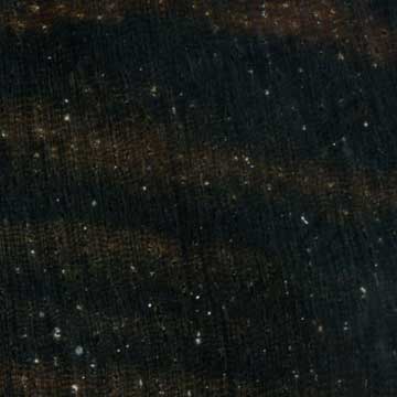 Макассарский эбен - торец доски – волокна древесины