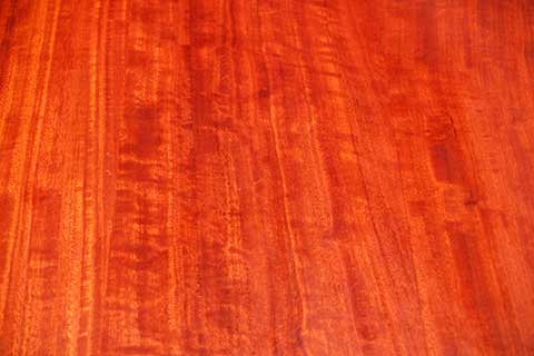 Эвкалипт камальдульский (Eucalyptus camaldulensis) – полированный стол