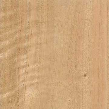 Эвкалипт шаровидный (Eucalyptus globulus) – древесина под лаком
