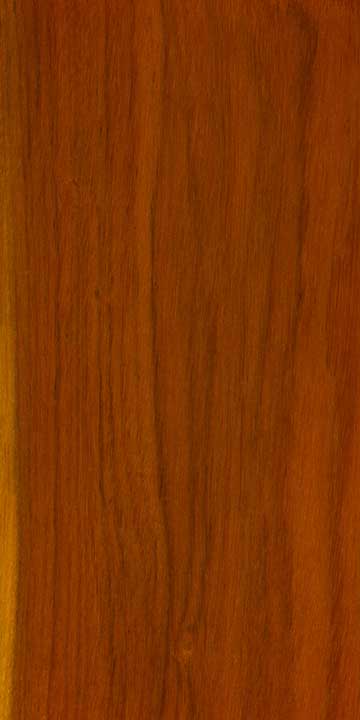 Цезальпиния ежовая (Caesalpinia echinata) – древесина под лаком