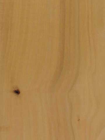 Крушина американская (Frangula purshiana) – древесина шлифованная