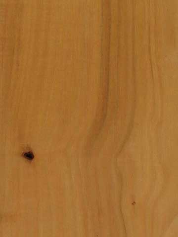 Крушина американская (Frangula purshiana) – древесина под лаком