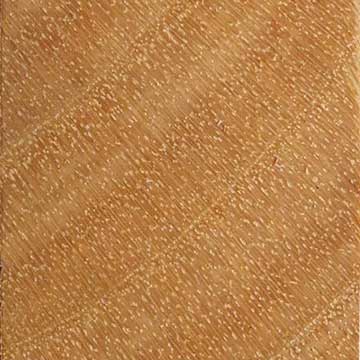 Крушина американская (Frangula purshiana) – торец доски, волокна древесины, увел. 10х