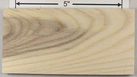 Хэкберри – Celtis occidentalis