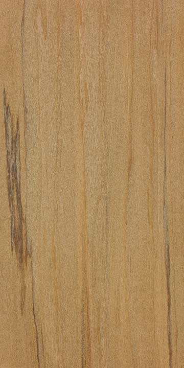 Восточно-индийское каури (Agathis dammara) – древесина шлифованная