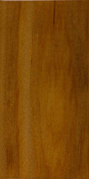 Квинслендское каури (Agathis robusta) – древесина под лаком