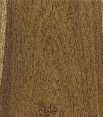 Лабурнум (Laburnum anagyroides) – древесина под лаком