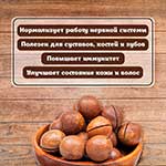 Макадамия – очень полезный орех для здоровья человека