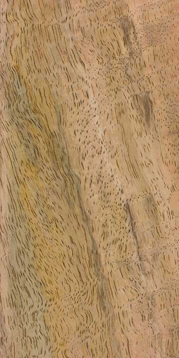 Манго индийское (Mangifera indica) – древесина шлифованная