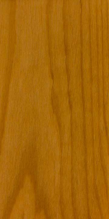 Ольха андская (Alnus acuminata) – древесина под лаком