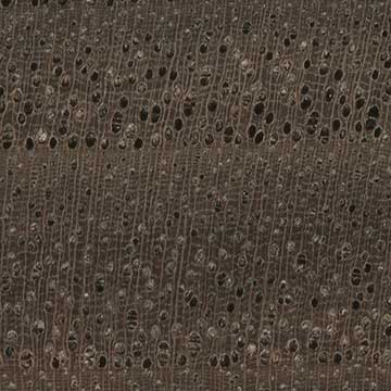Орех Гиндса (Juglans hindsii) - торец доски – волокна древесины