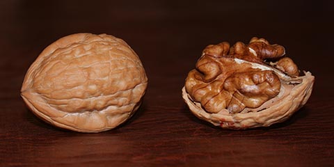 Спелые плод и семя грецкого ореха