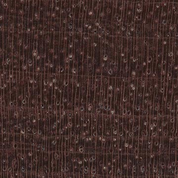 Итин (Prosopis kuntzei) - торец доски – волокна древесины