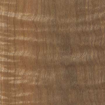 Пайнма (Lagerstroemia spp.) – древесина под лаком