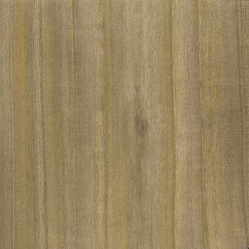 Сумах оленерогий (Rhus typhina) – древесина шлифованная
