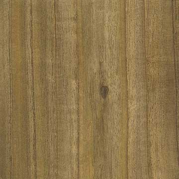 Сумах оленерогий (Rhus typhina) – древесина под лаком