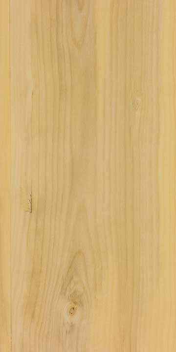 Самшит вечнозелёный (Buxus sempervirens) – древесина шлифованная