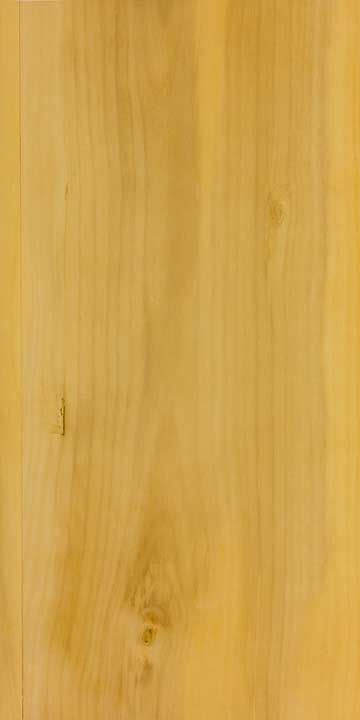 Самшит вечнозелёный (Buxus sempervirens) – древесина под лаком