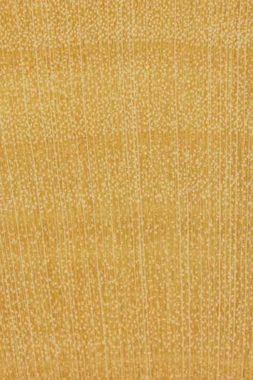 Самшит вечнозелёный (Buxus sempervirens) – торец доски – волокна древесины, увел. 10х