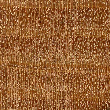 Сатиновое дерево (Chloroxylon swietenia) – торец доски – волокна древесины