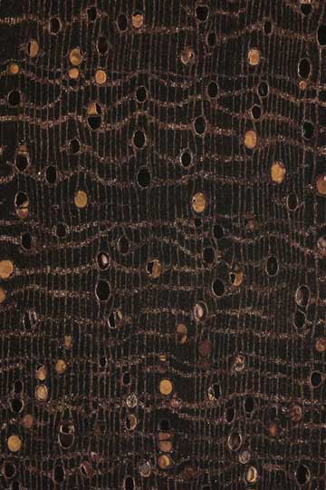 Каталокс (Swartzia cubensis) – торец доски – волокна древесины, увел. 10х
