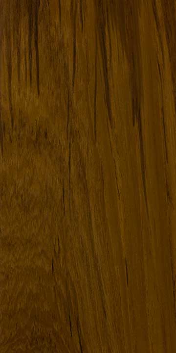 Тик (Tectona grandis) – древесина под лаком