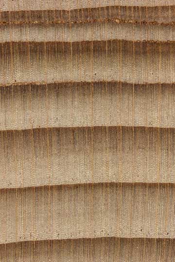 Тсуга западная (Tsuga heterophylla) – торец доски – волокна древесины, увел. 10х